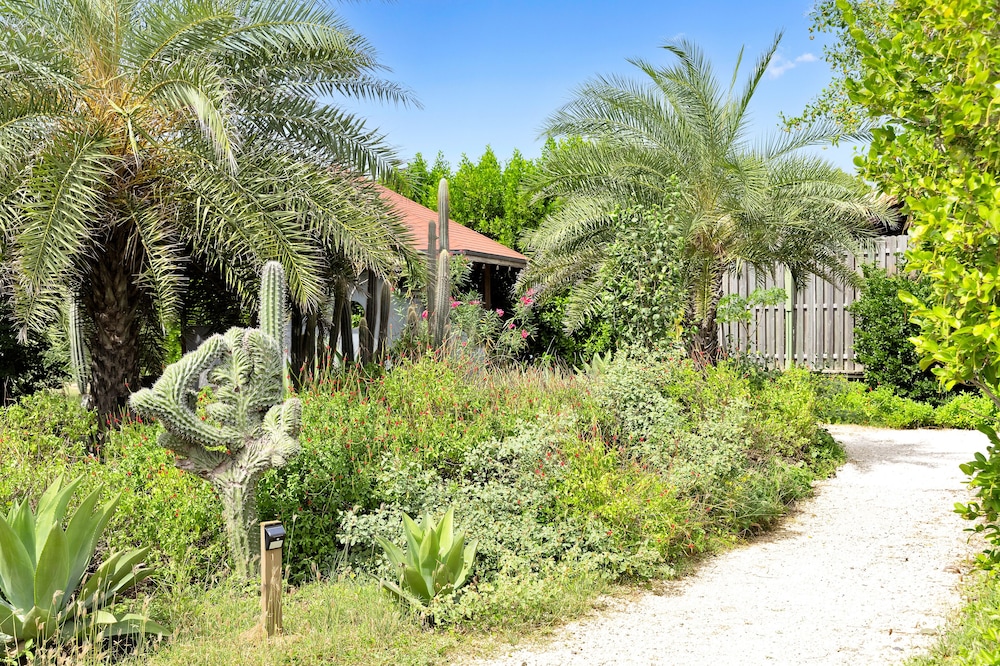 Red Palm Village 38/50