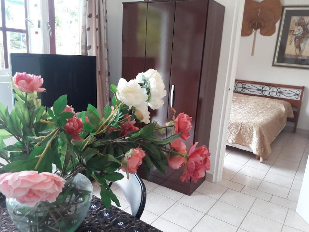 Palmita Hotel Hostel 16/38