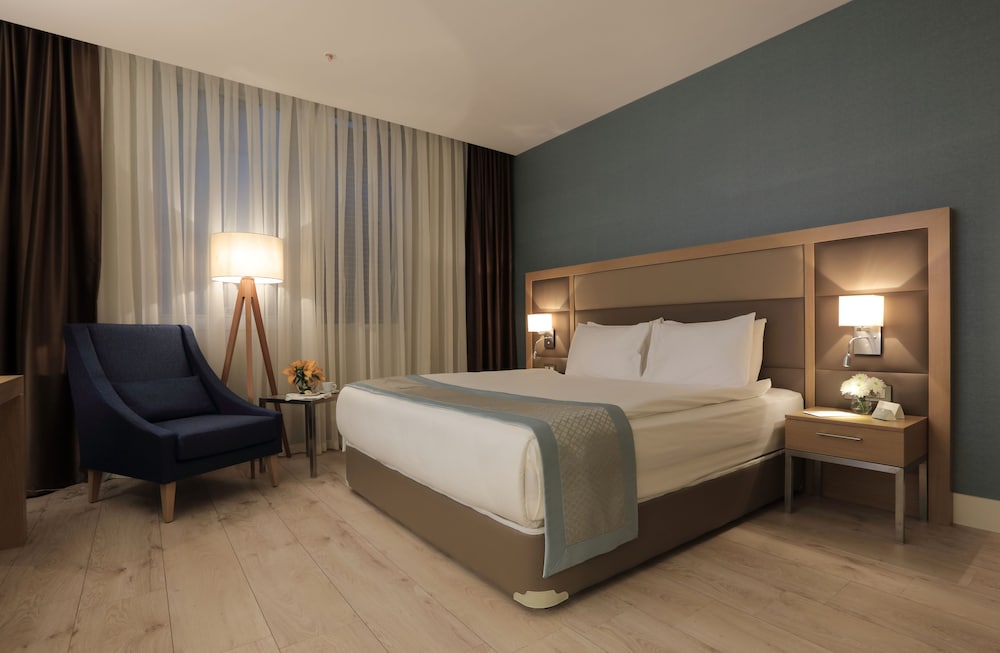 THE ANKARA HOTEL 18/65