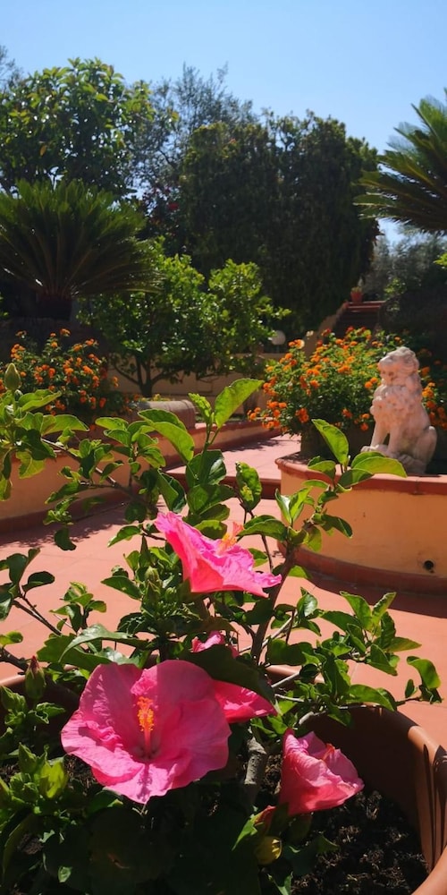 Hotel Villa Igea 58/62