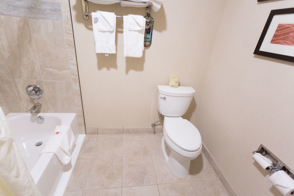 Standard, King Bed, Ground Floor, Quality Inn near Rocky Mountain National Park 6/9