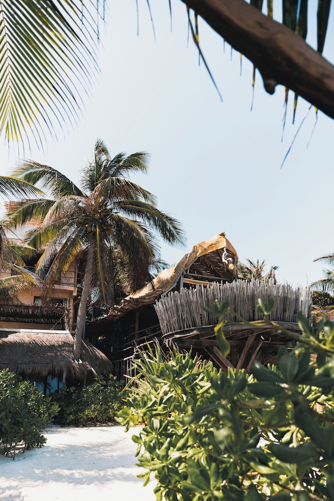Orchid House Tulum Beach 40/50