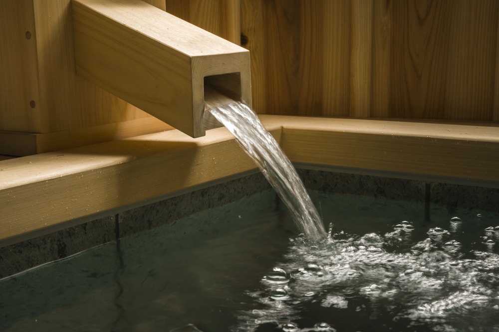 Fujisan Onsen Bessho Sasa 13/45