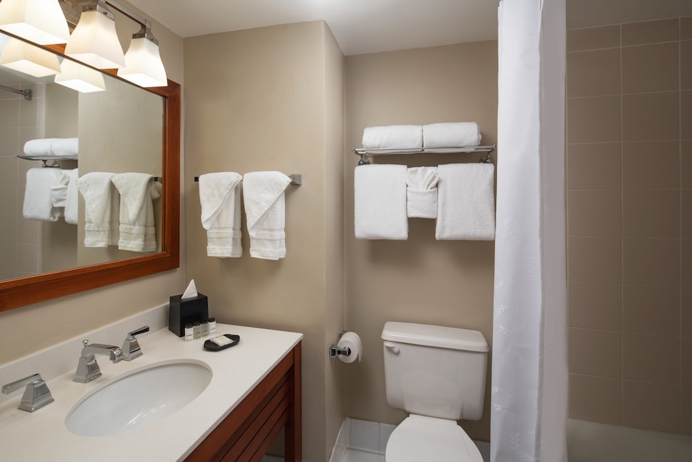 Sheraton Suites Cypress Creek Hotel 17/46
