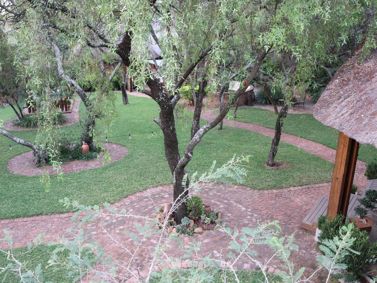 Monkey Thorn Cottage 40/50