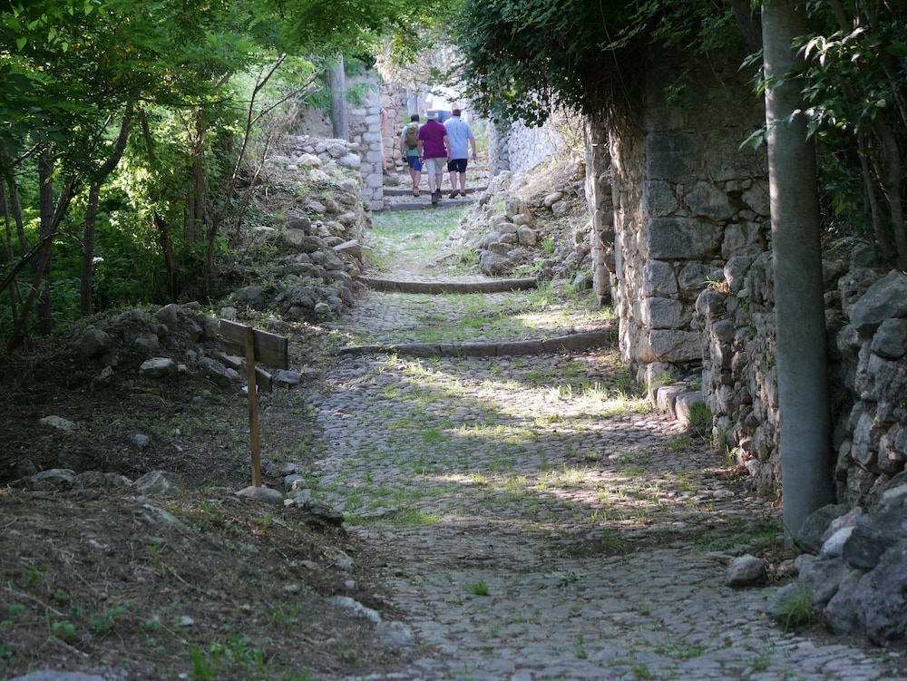 surroundings