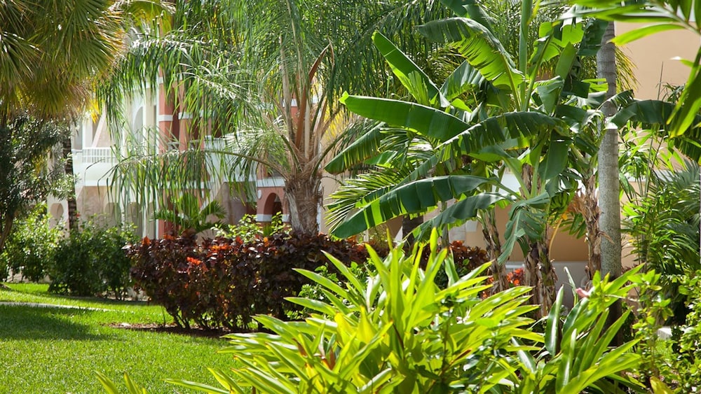The Marlin At Taino Beach Resort Clubs 51/60