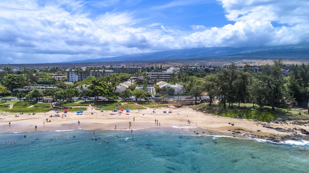 Maui Banyan Basic by AEI 20/28