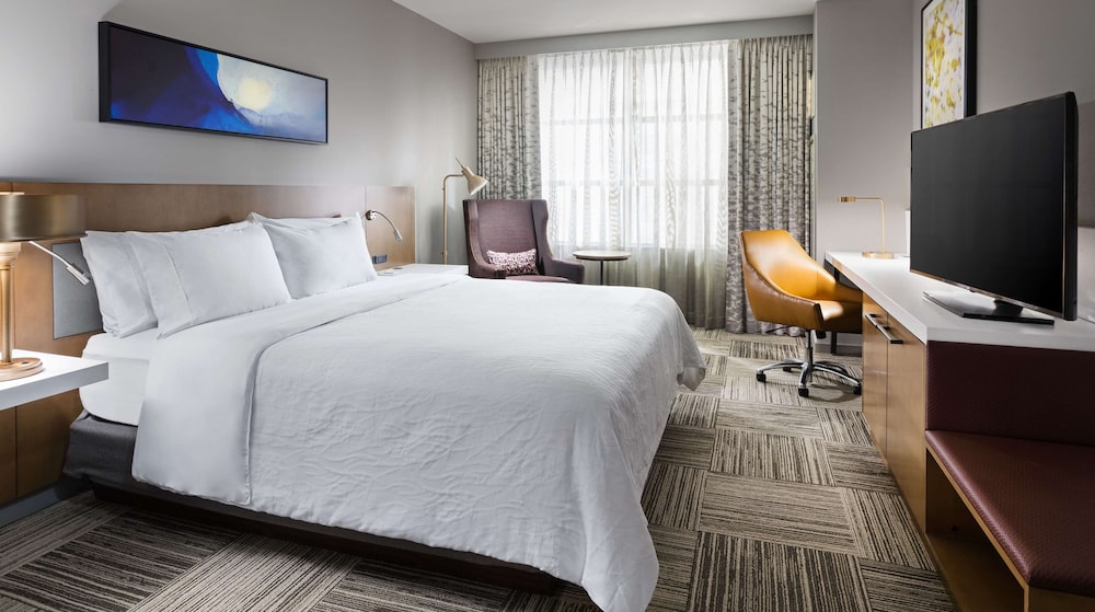 Hilton Garden Inn Chicago Mccormick Place 24/71