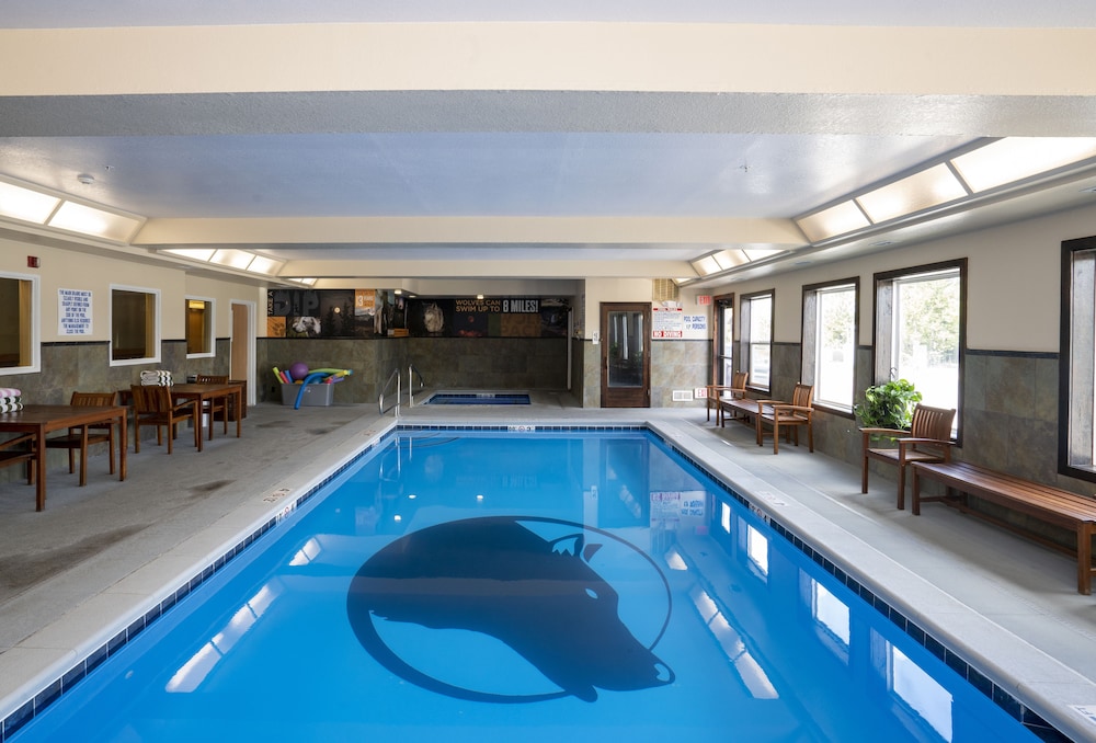 Gray Wolf Inn And Suites 13/67