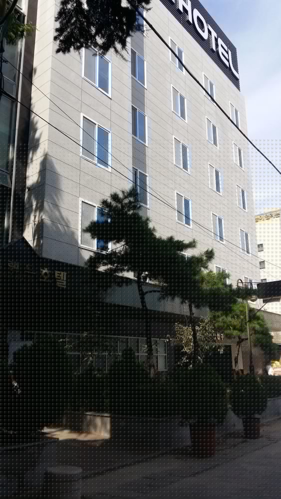 New Grand Hotel photo4