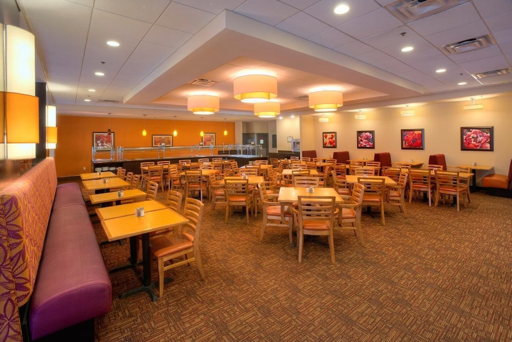Rosen Inn International 41/67
