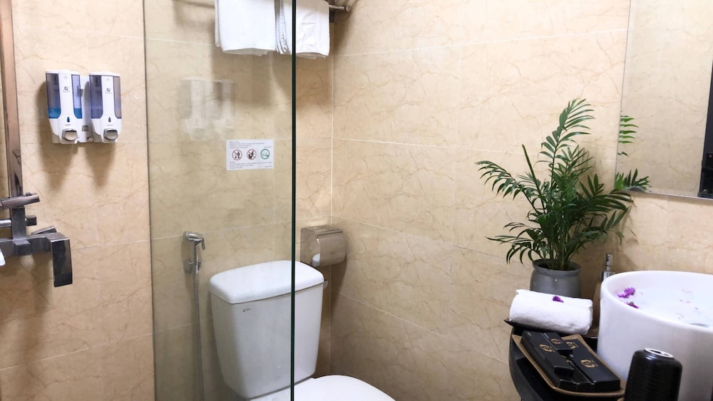Hanoi Elpis Hotel 17/48