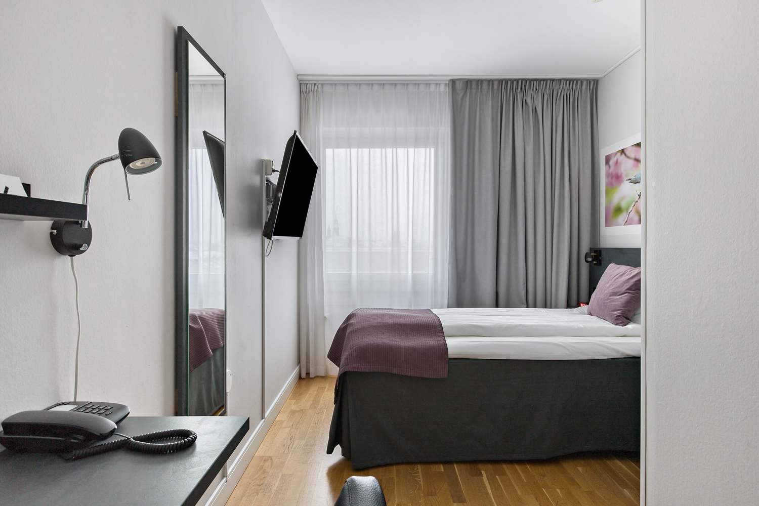 Best Western Plaza Hotel 24/65