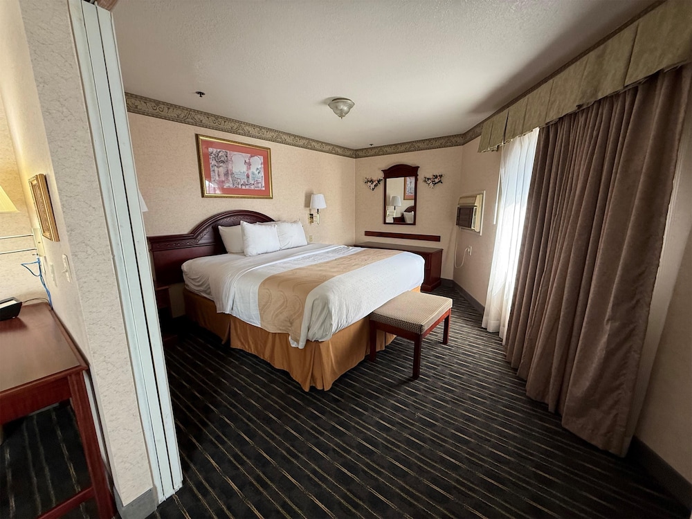 Suite, King Bed, Sofa, Living Area