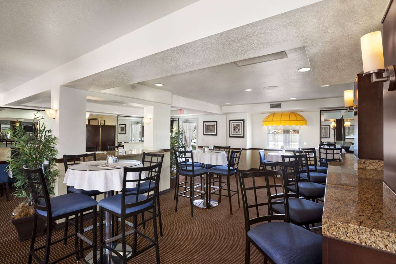 Ramada By Wyndham Costa Mesa/Newport Beach 35/38