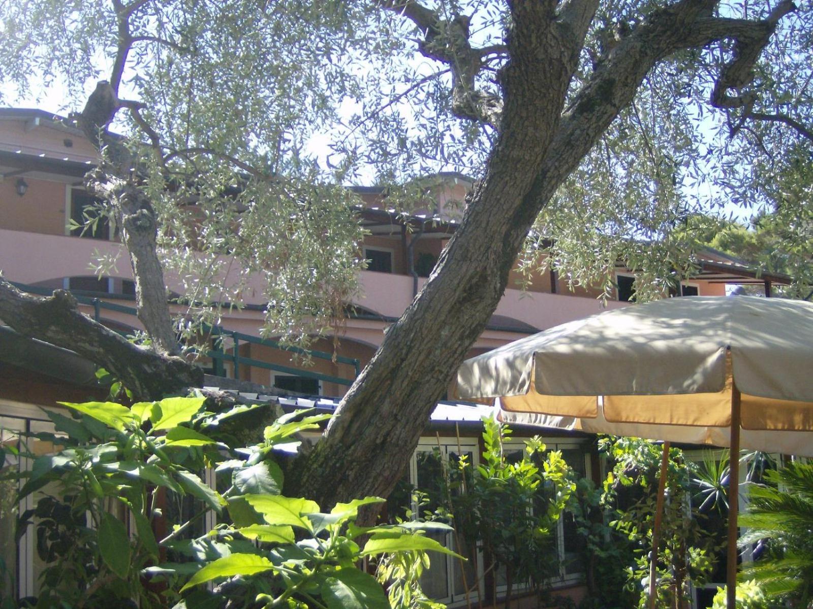Fiascherino Hotel 36/41