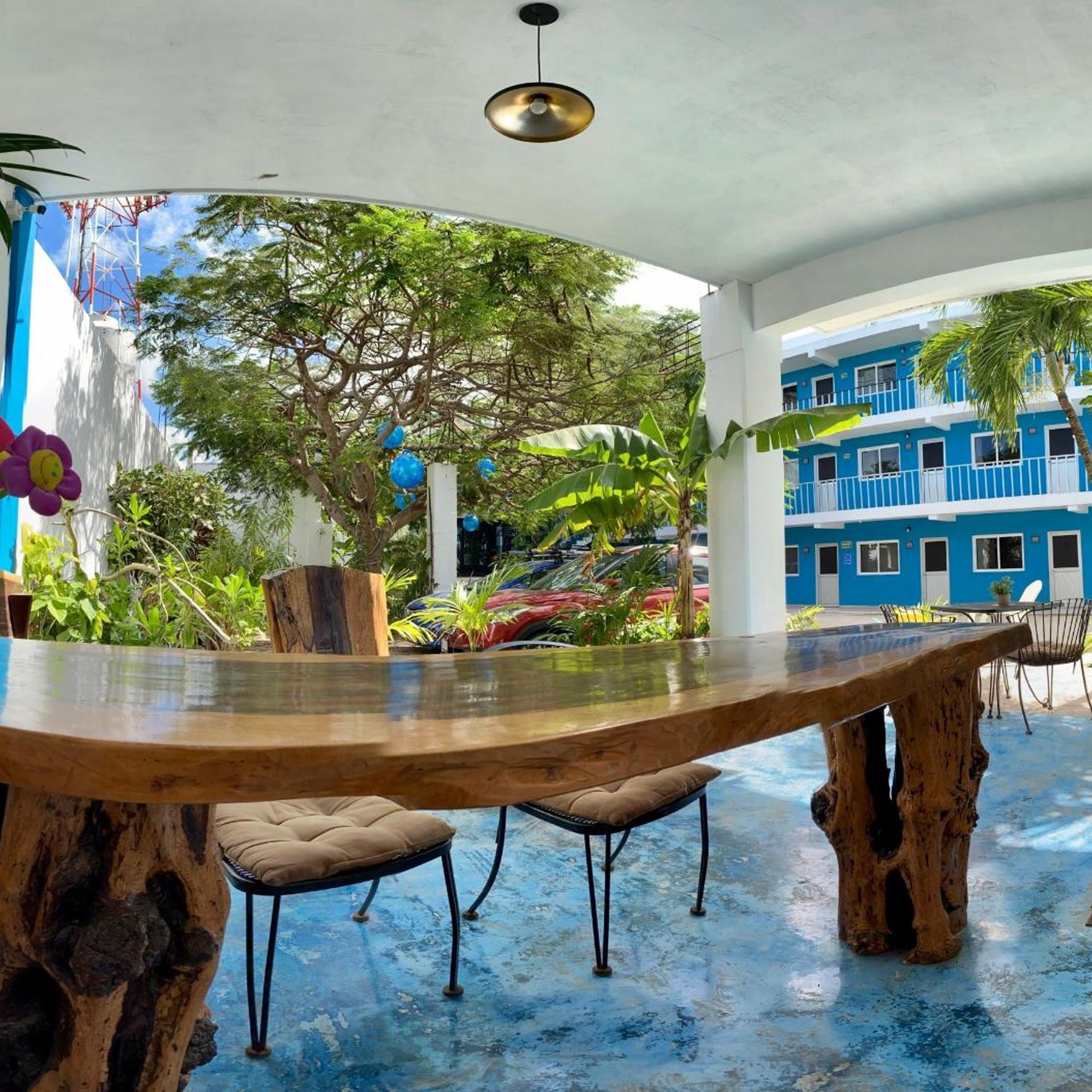 Blue Coconut Cancun 9/52