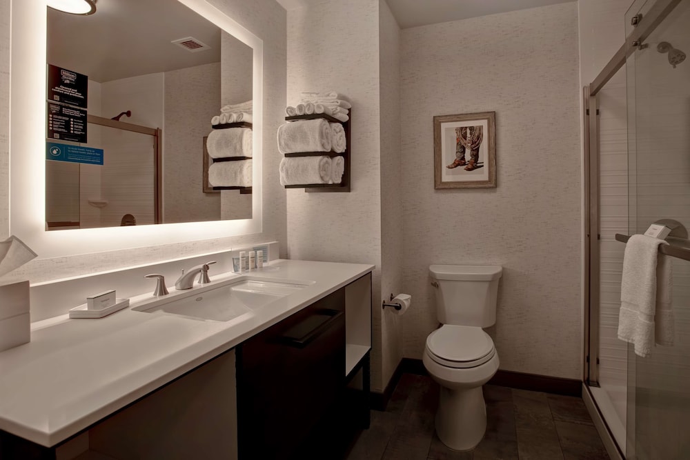 Hampton Inn & Suites San Antonio Riverwalk 30/77