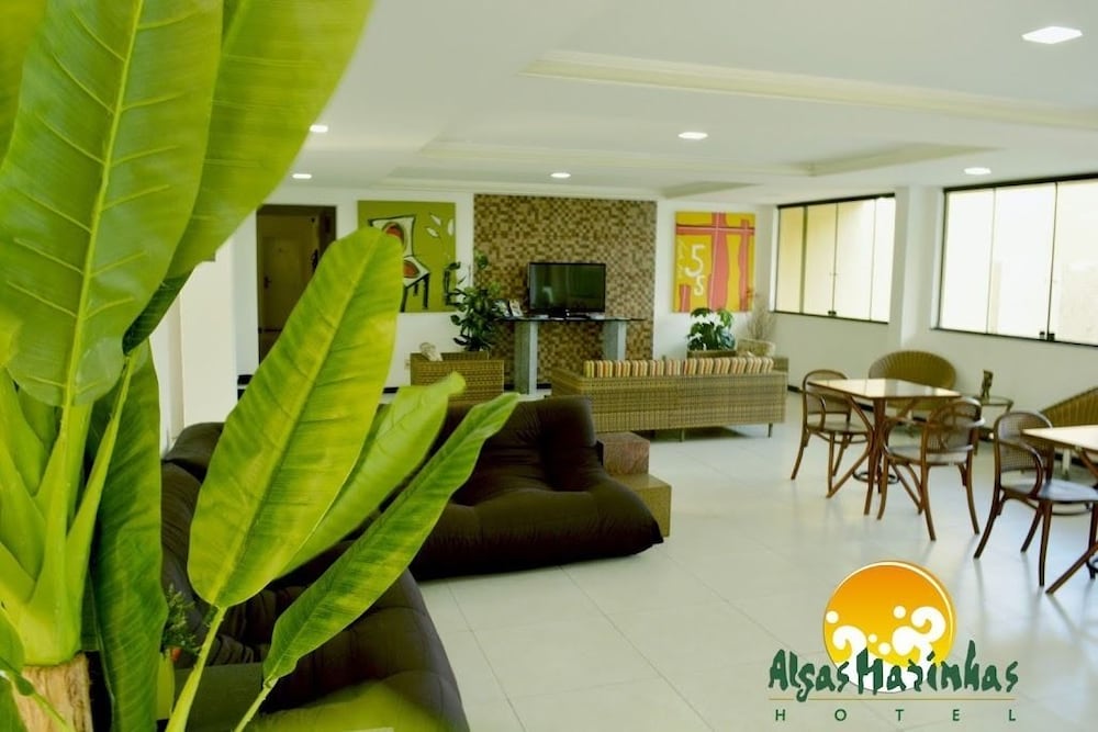 Algas Marinhas 19/25