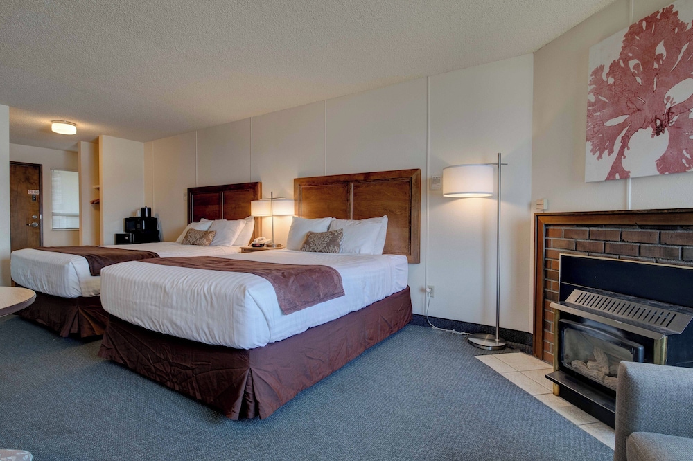 Ester Lee Motel 6/50