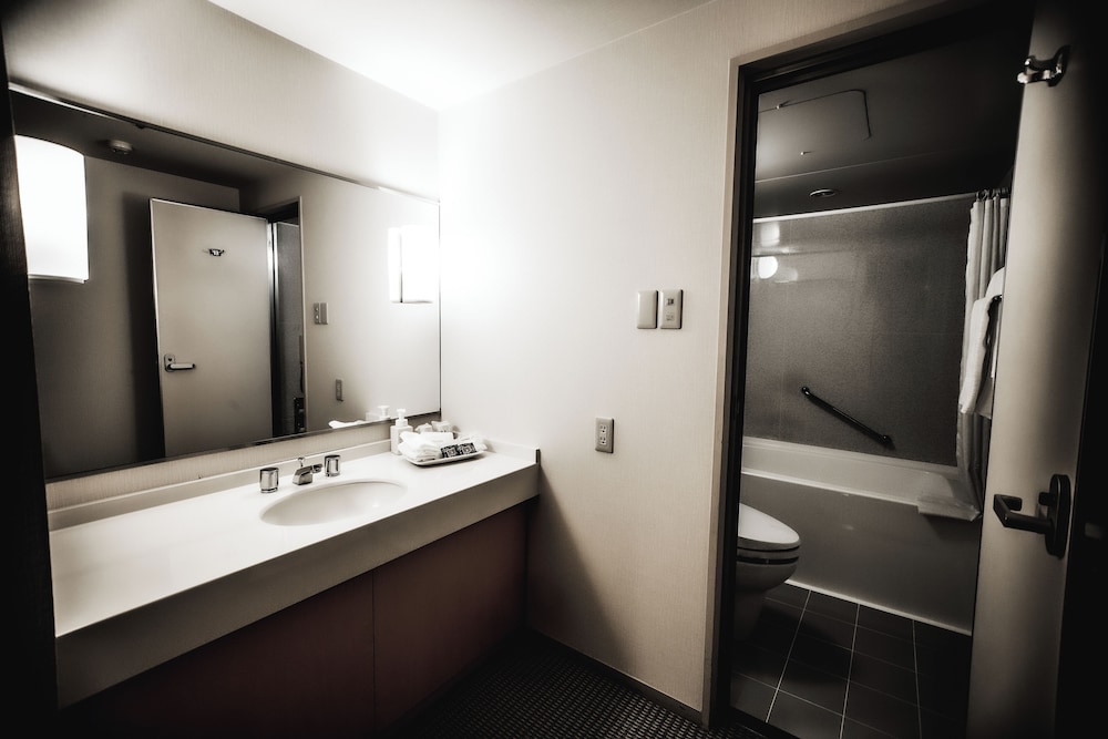 Oarks Canal Park Hotel Toyama 44/44