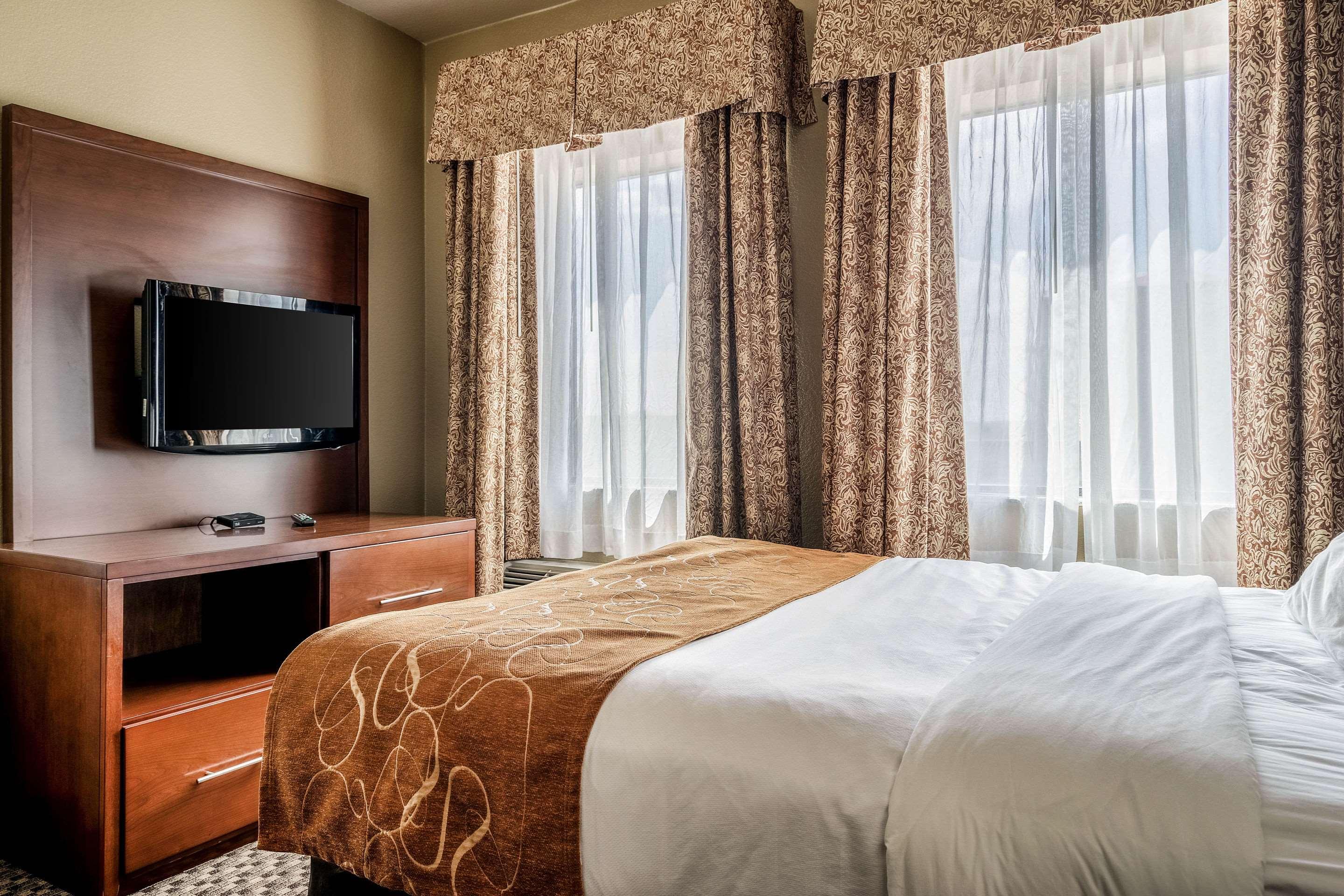 Suite, Queen Bed