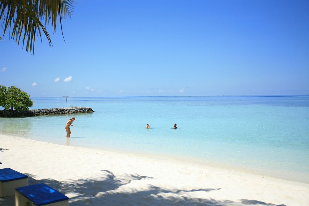 Nika Island Resort & Spa, Maldives 49/67