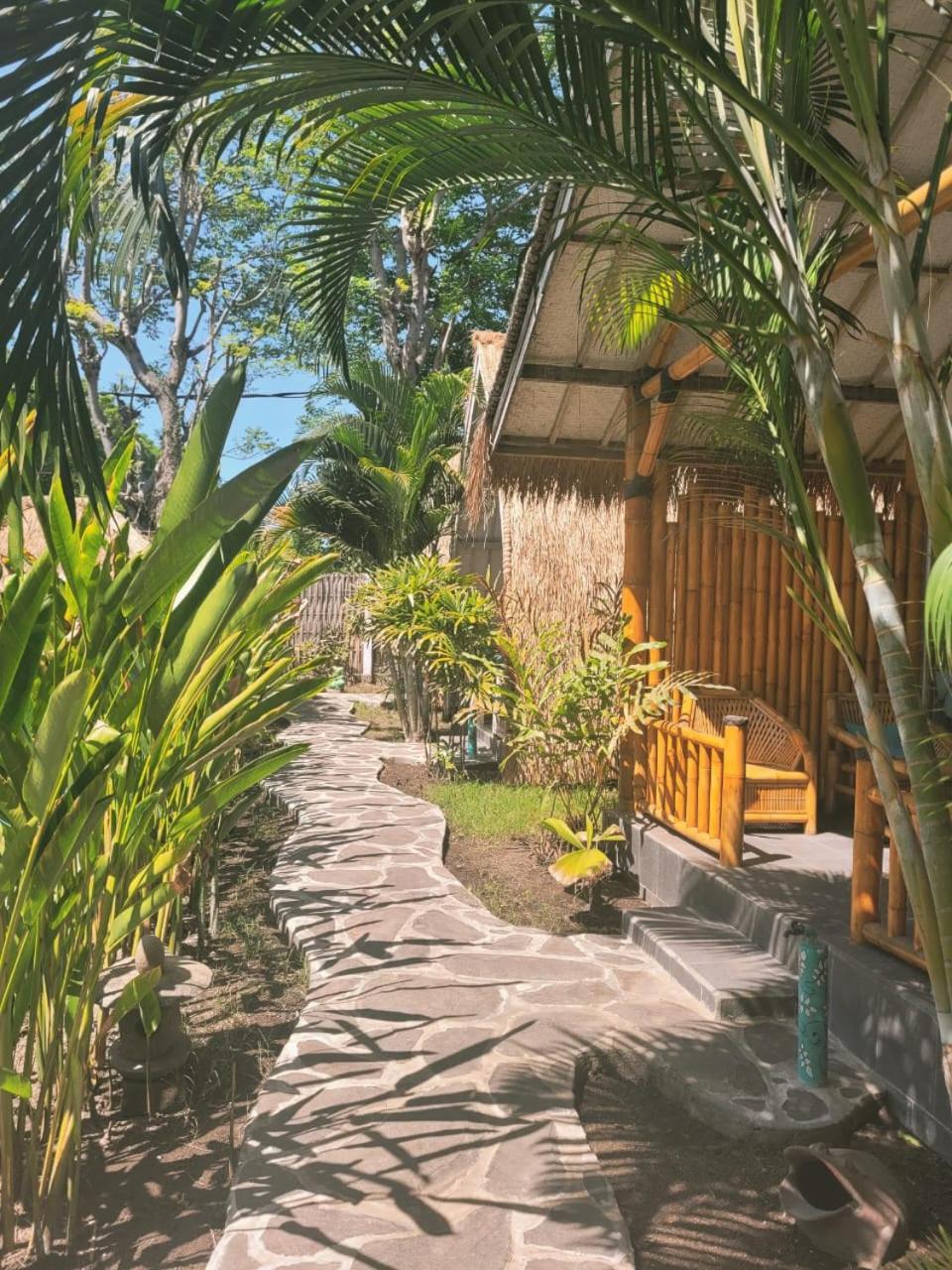 Gili Matiki 23/50