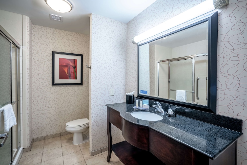 Hampton Inn Richmond Airport 20/58