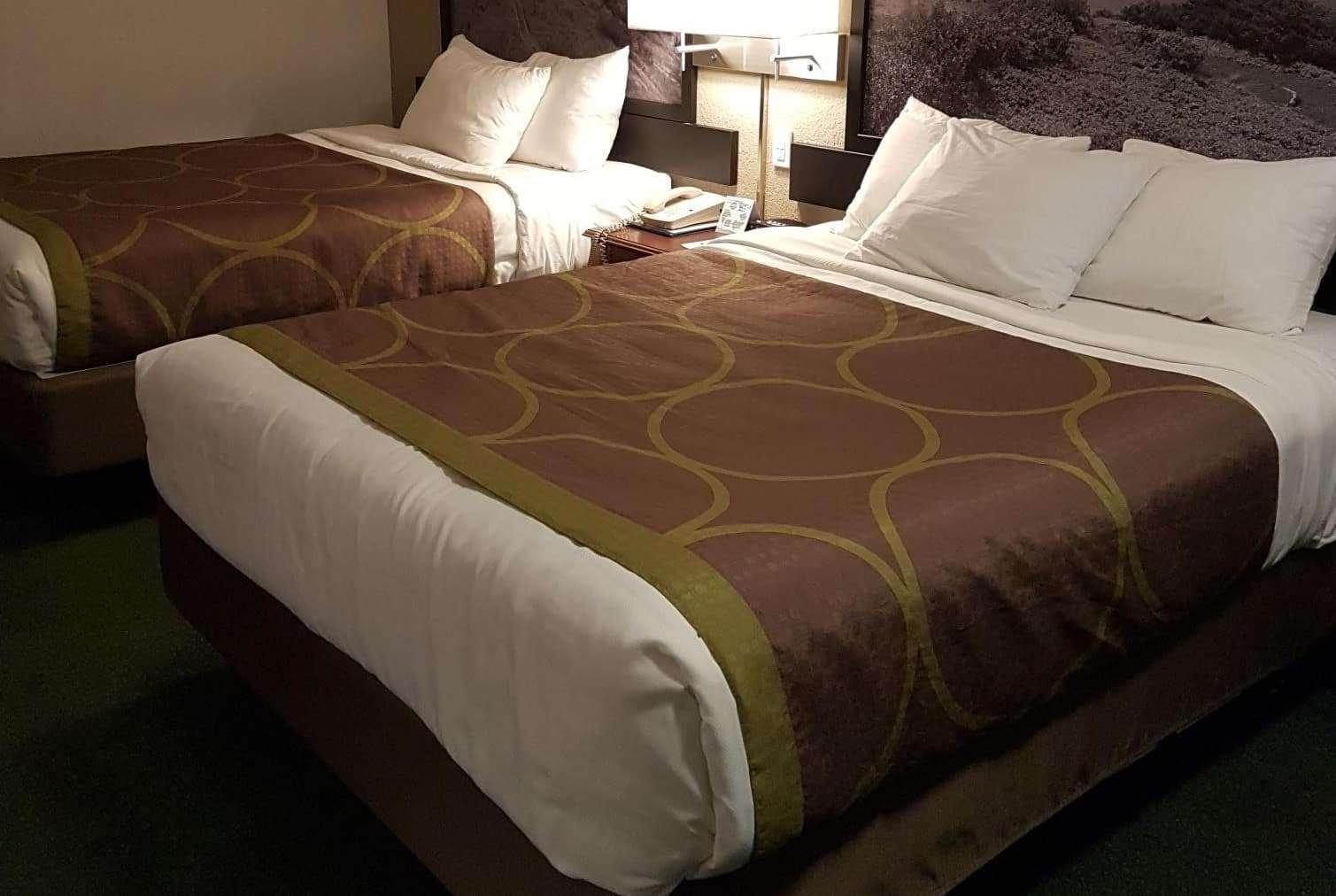 Efficiency, 2 Queen Beds