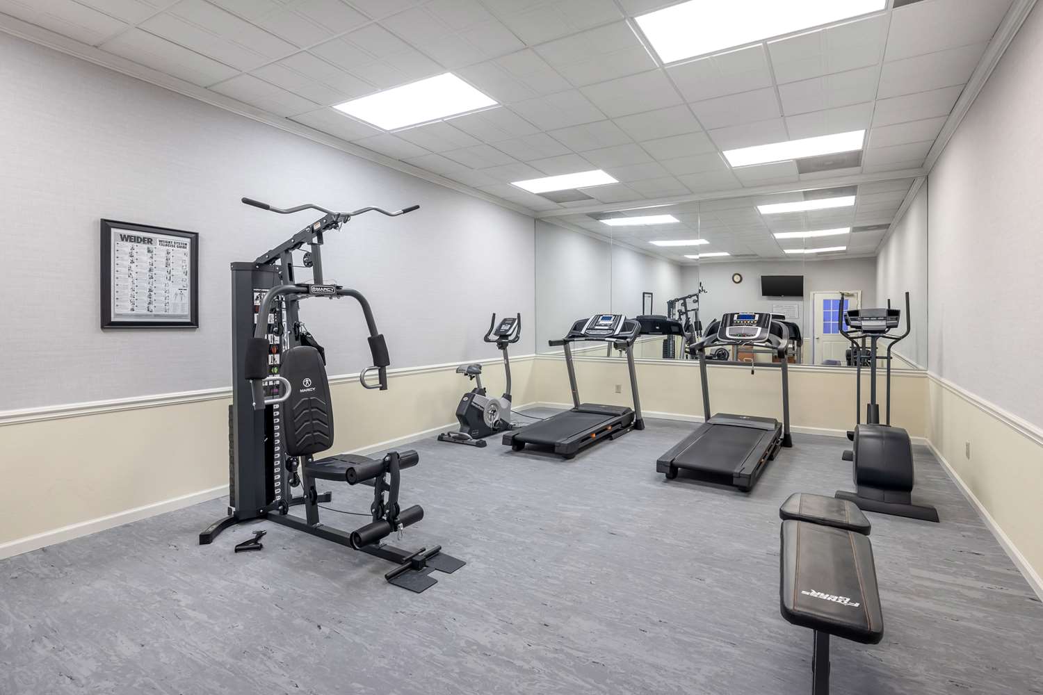 Best Western Spring Hill Inn & Suites 14/32