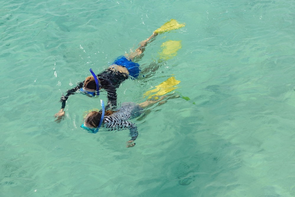 Heron Island Resort 36/70