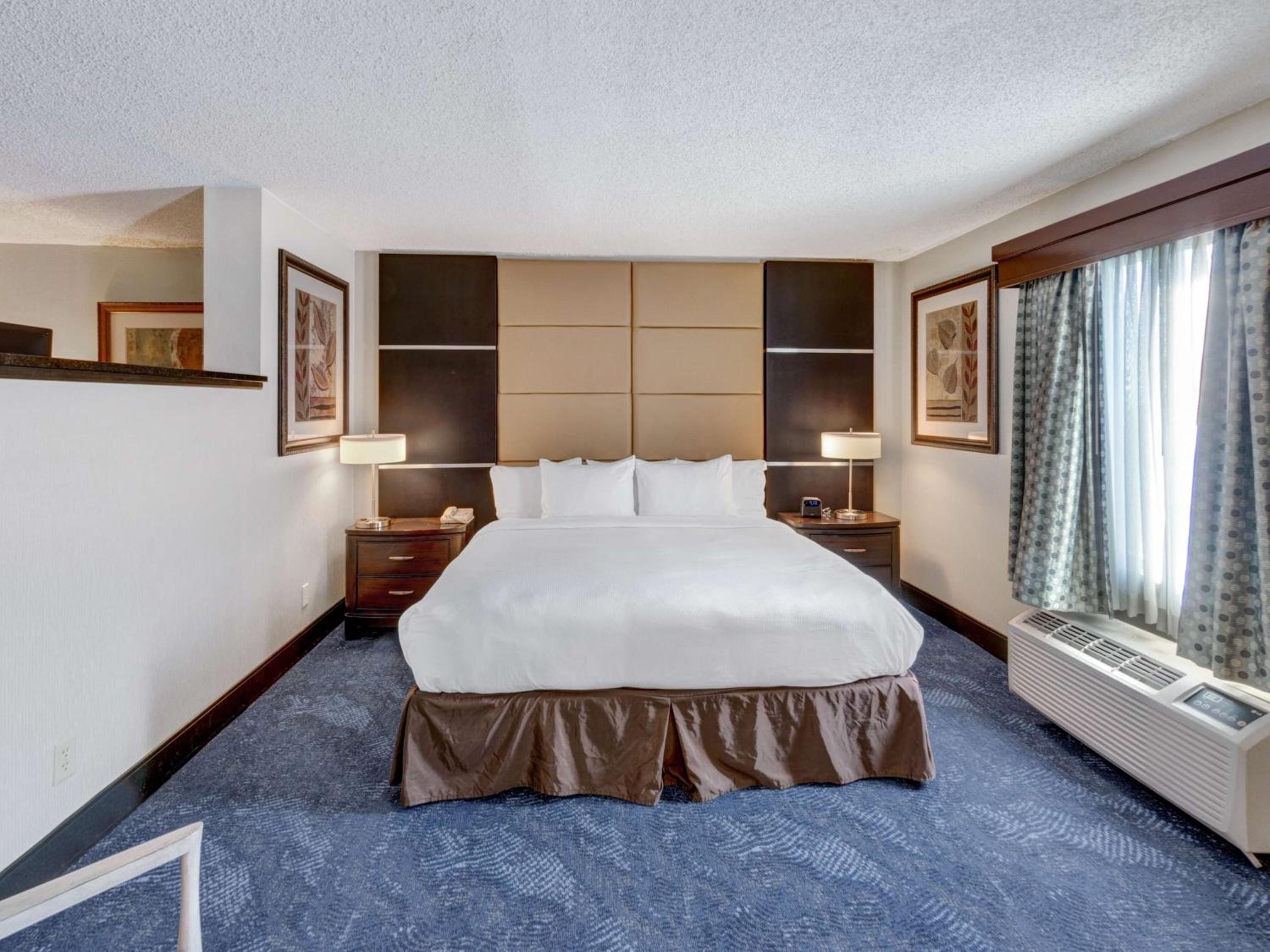 Studio, Suite, King Bed, Sofa