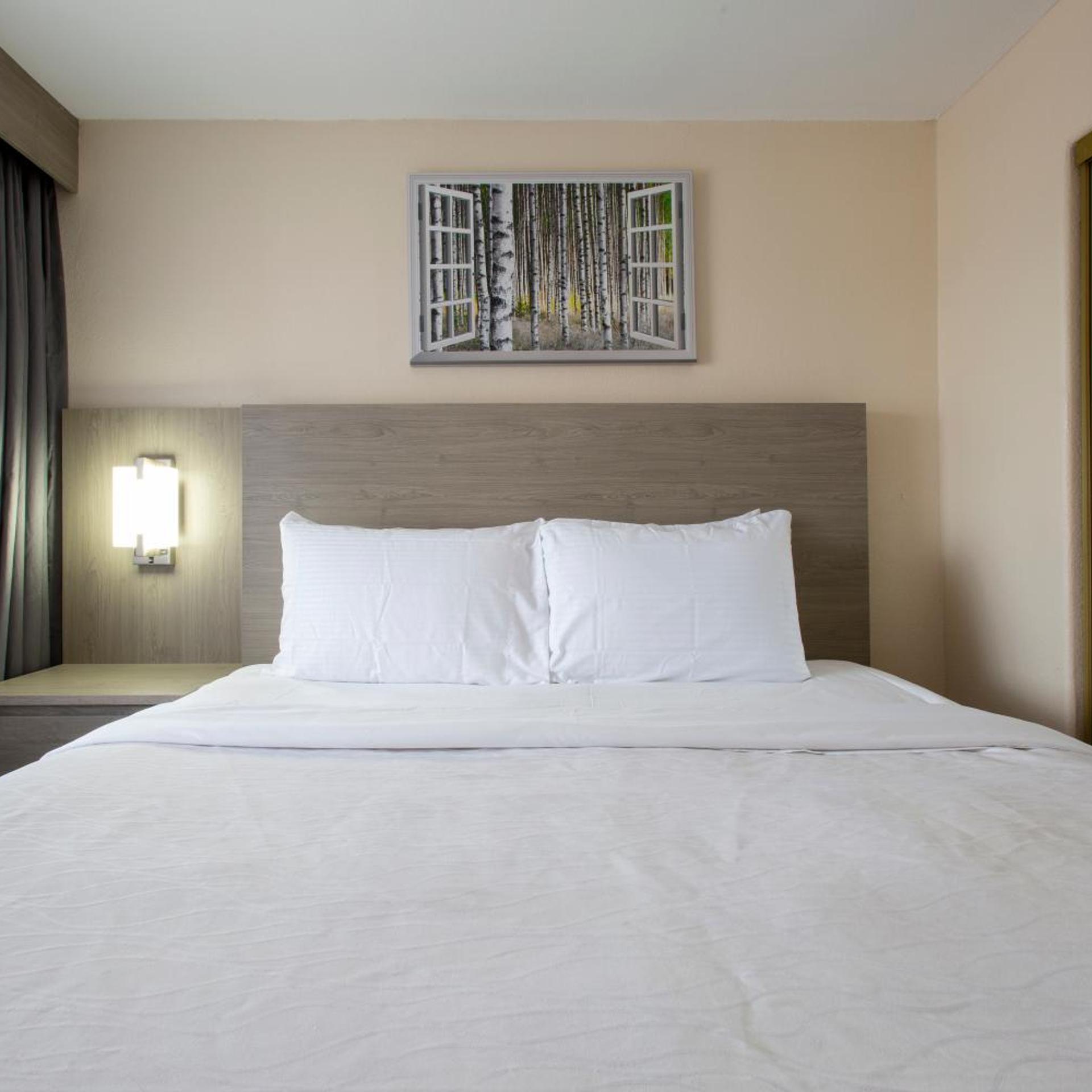 Penthouse Suite