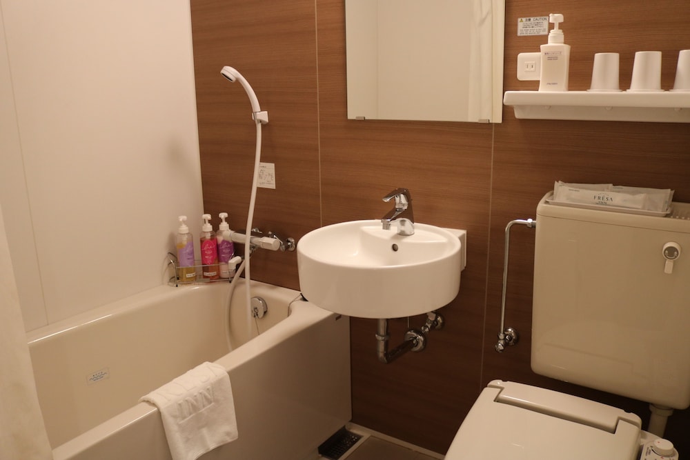 Sotetsu Fresa Inn Tokyo Kyobashi 49/50