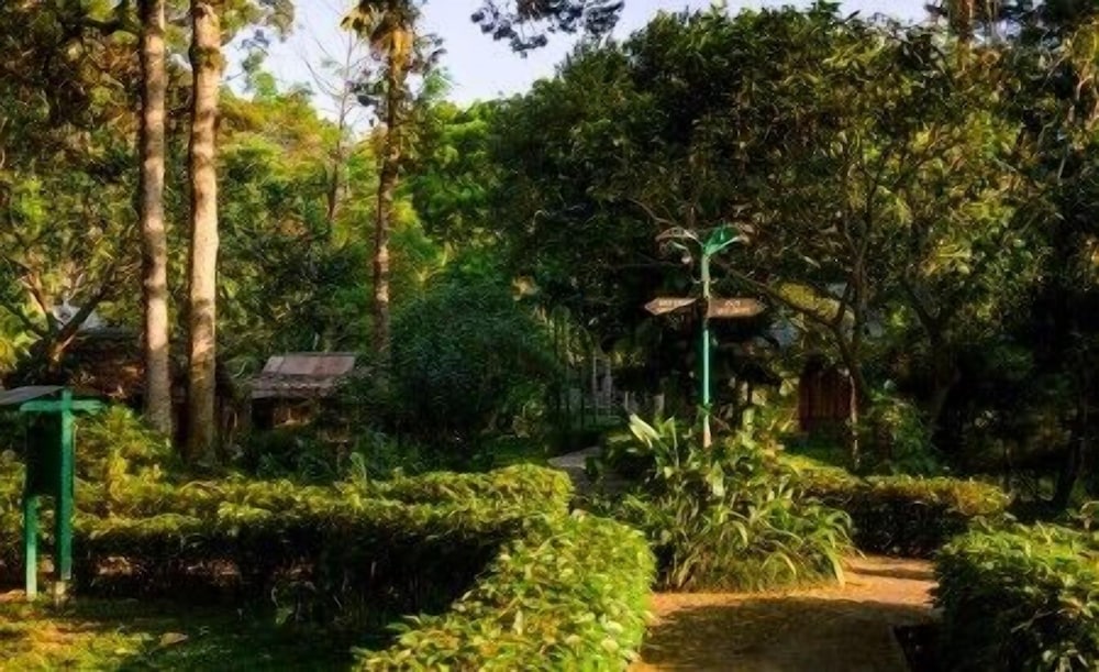 Ecolodge Bukit Lawang 49/58