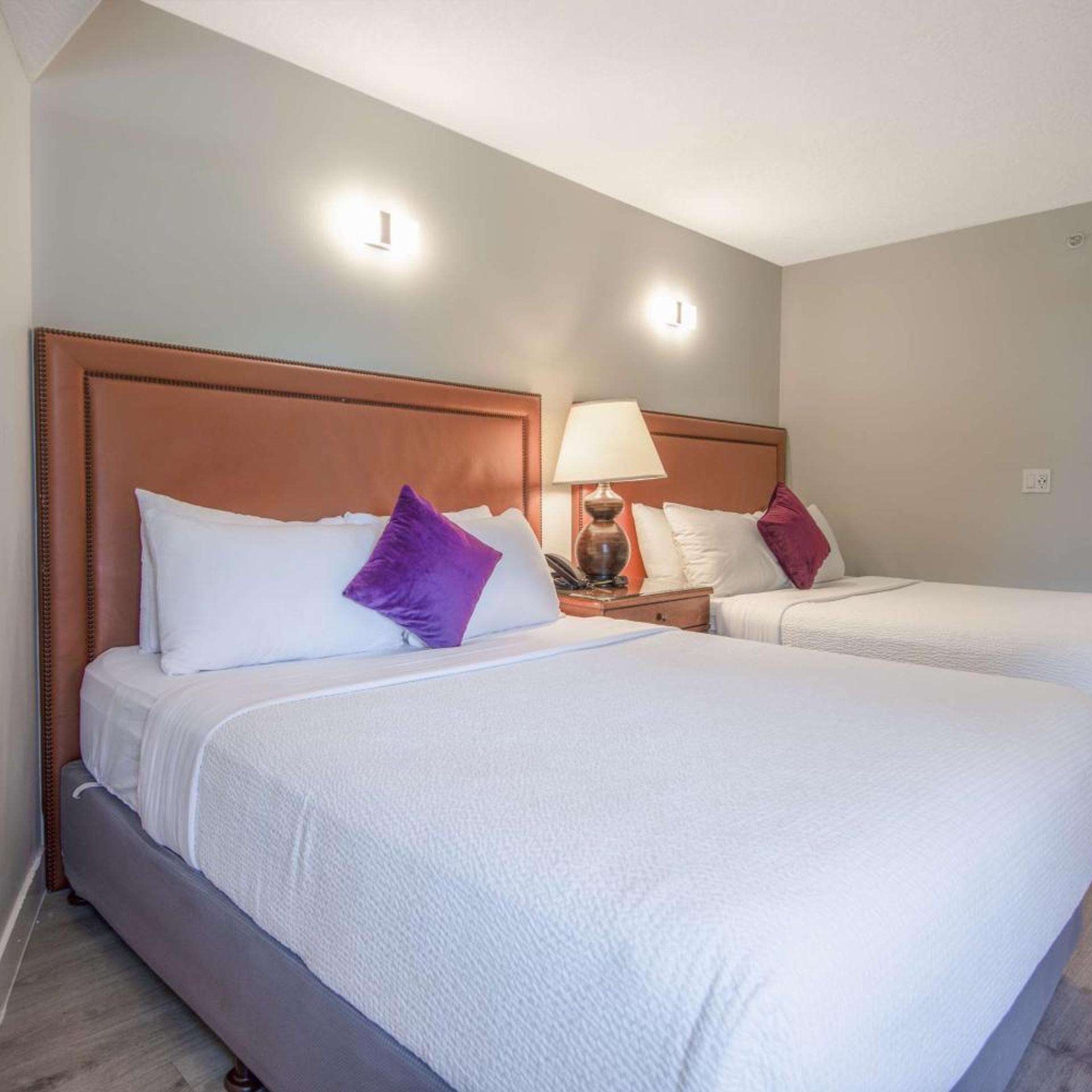 Coast, King Bed, 2 Queen Beds