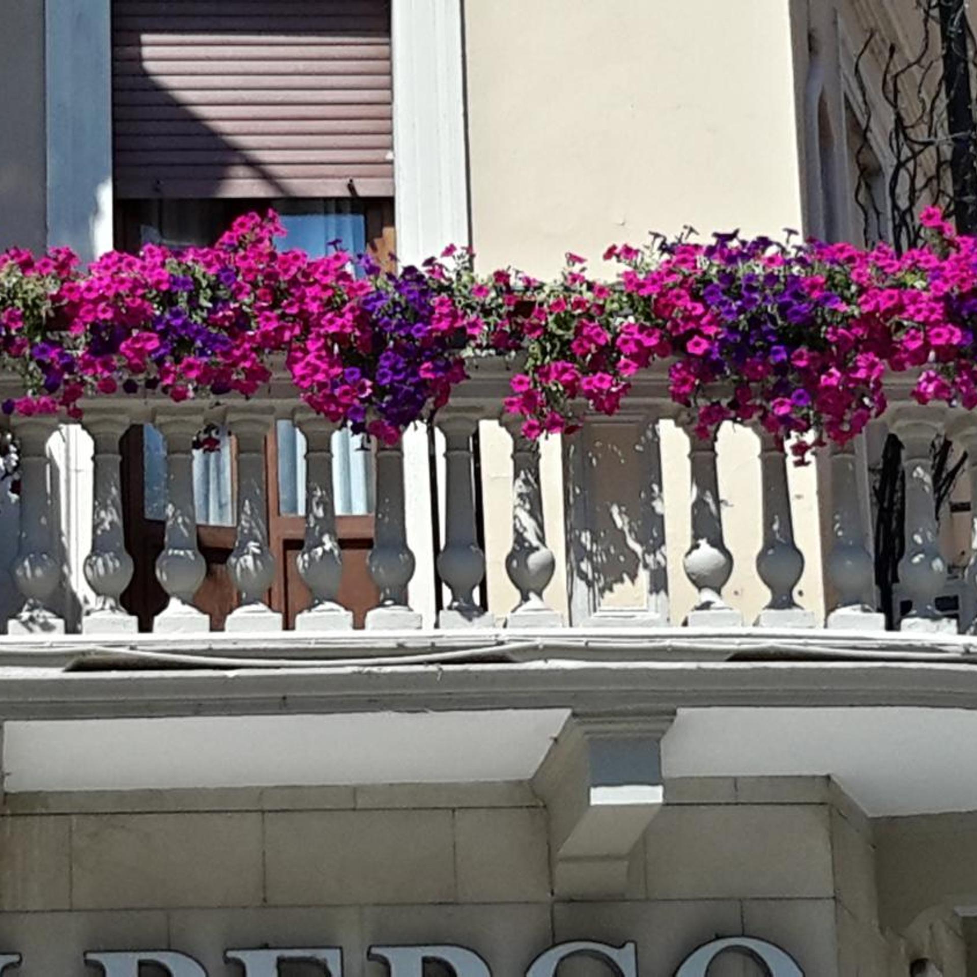 Albergo Trento 37/51