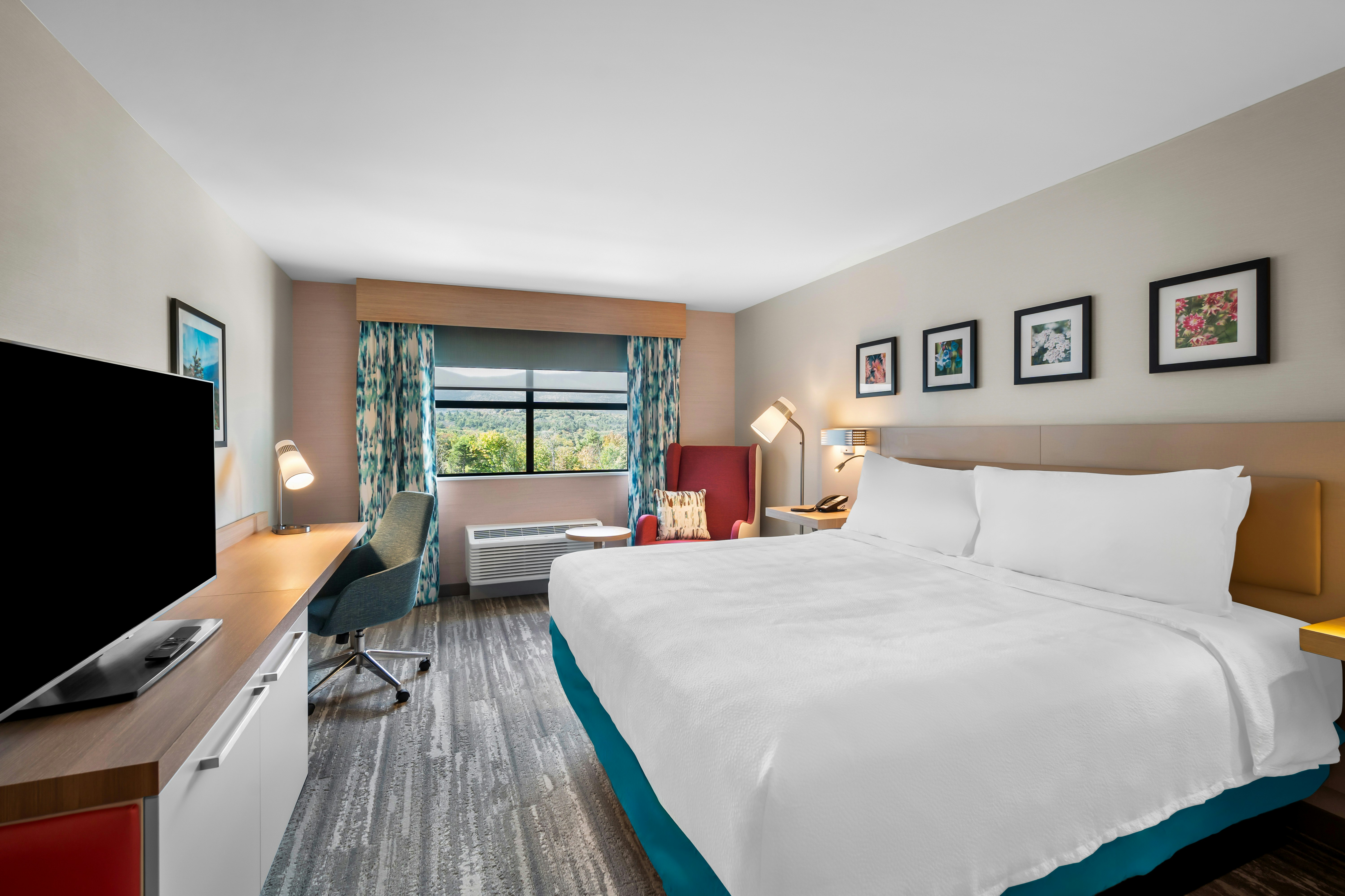 Room, King Bed, Mountain View