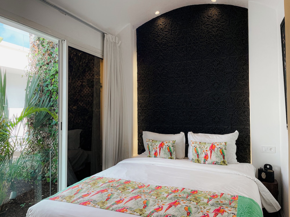 Riad Zyo 18/50