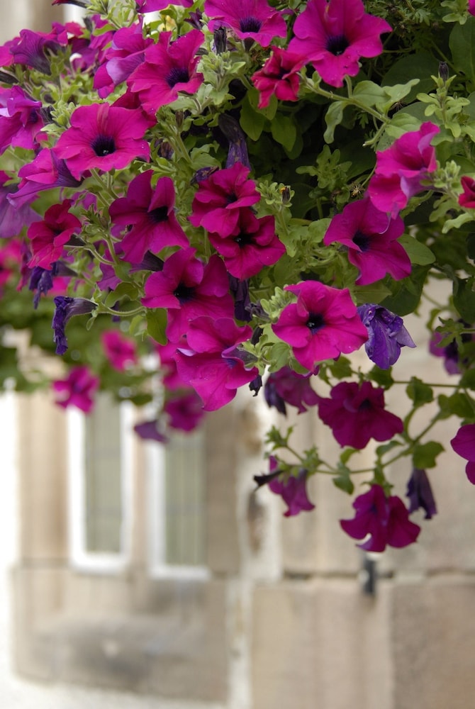 Losehill House Hotel & Spa 39/40