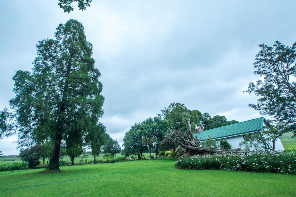 Hoyo Hoyo Machadostud Lodge 20/27