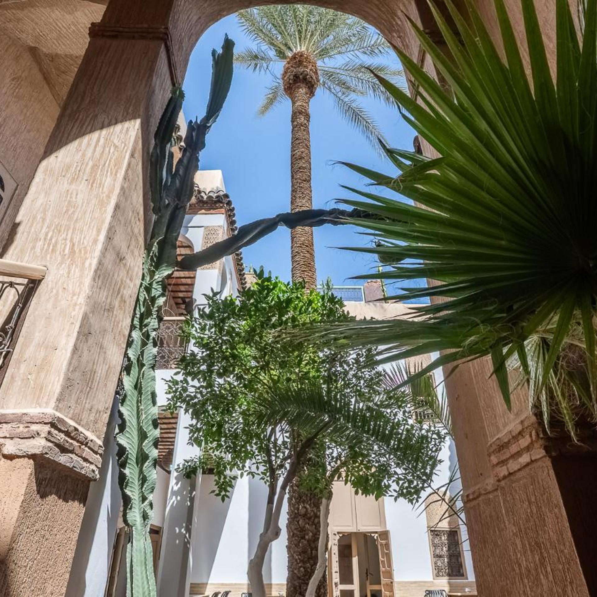 Riad Palmier 50/57