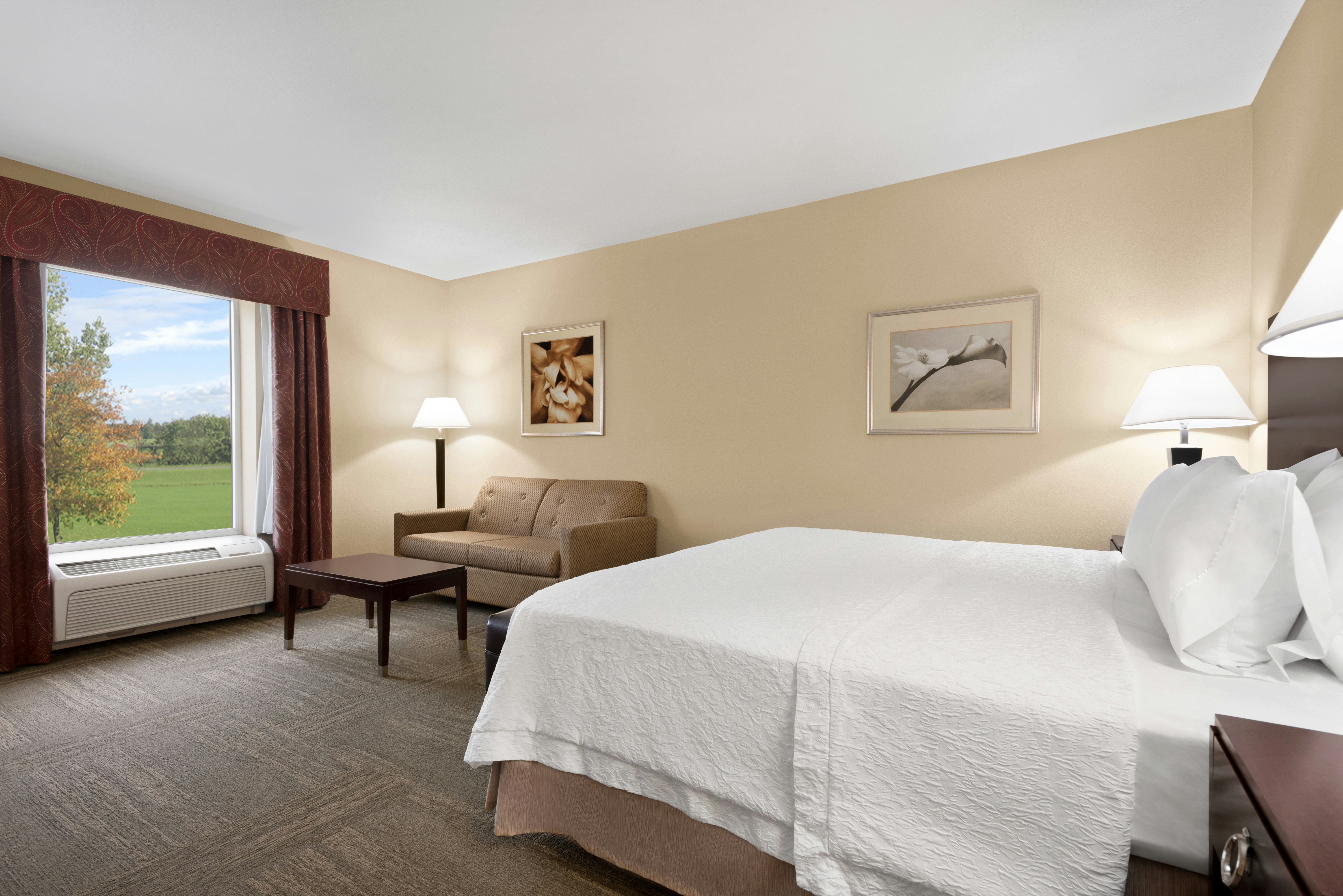 ROOM, KING BED, SOFA
