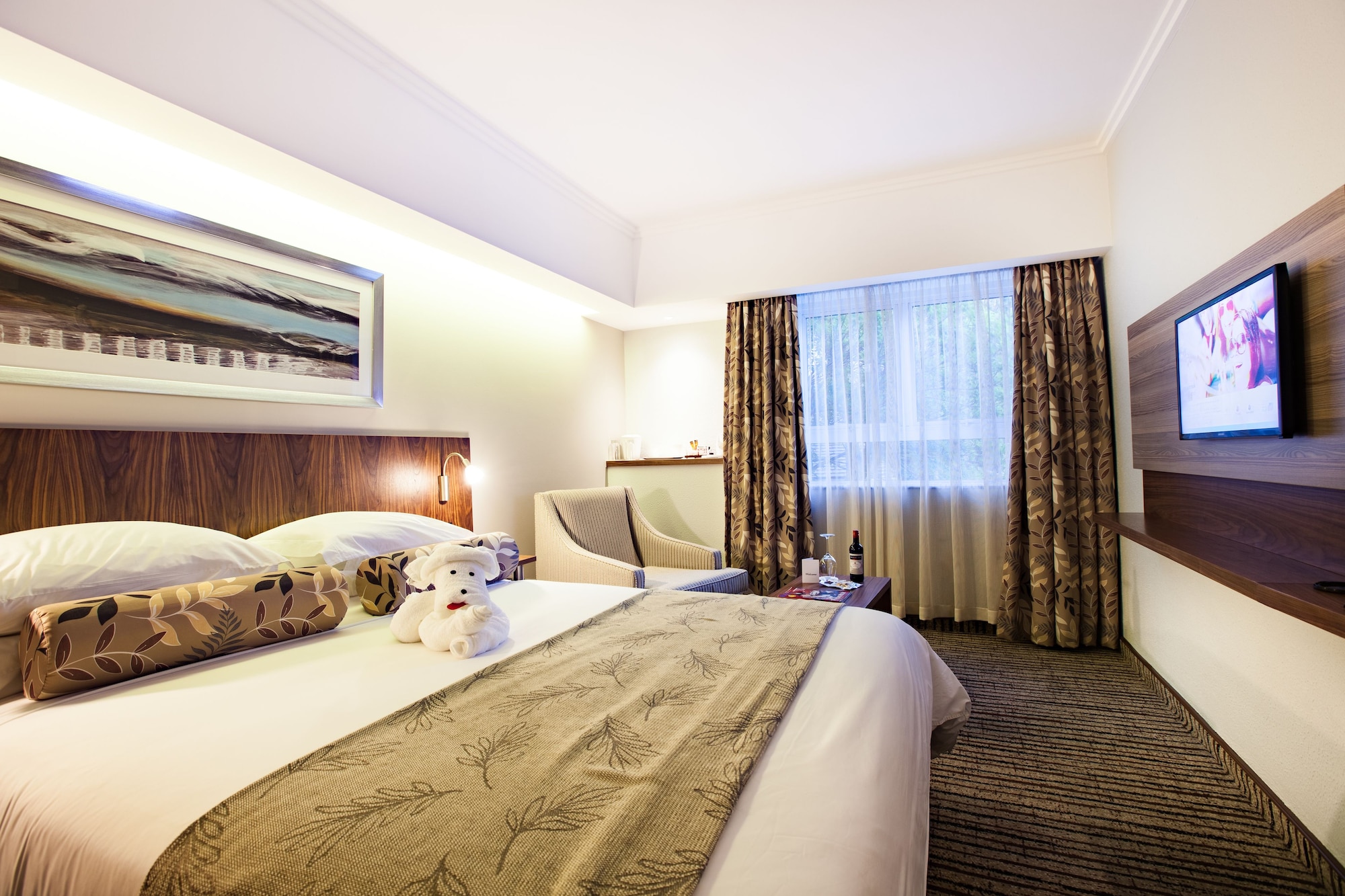 Room, Double Bed, Sofa