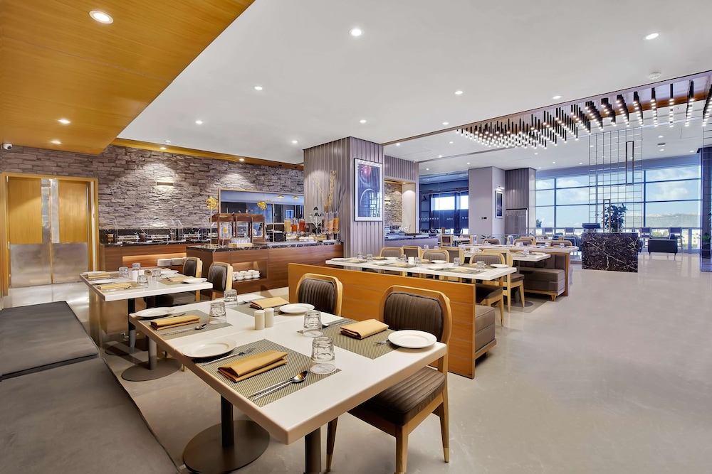 Radisson Hotel Nathdwara 32/46