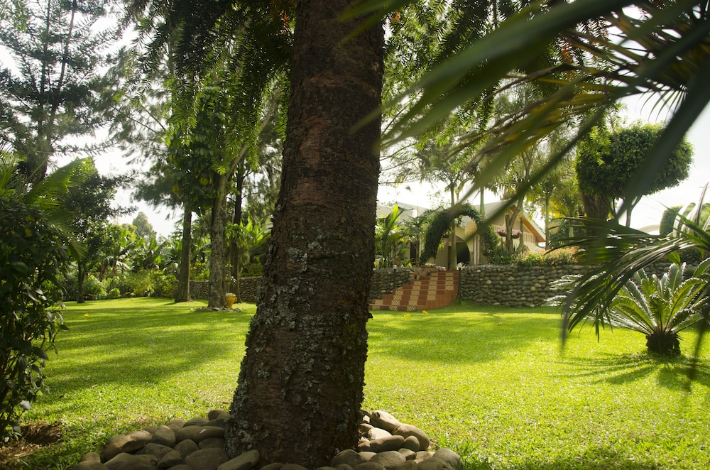 Sheevy's Bed N Breakfast 18/29