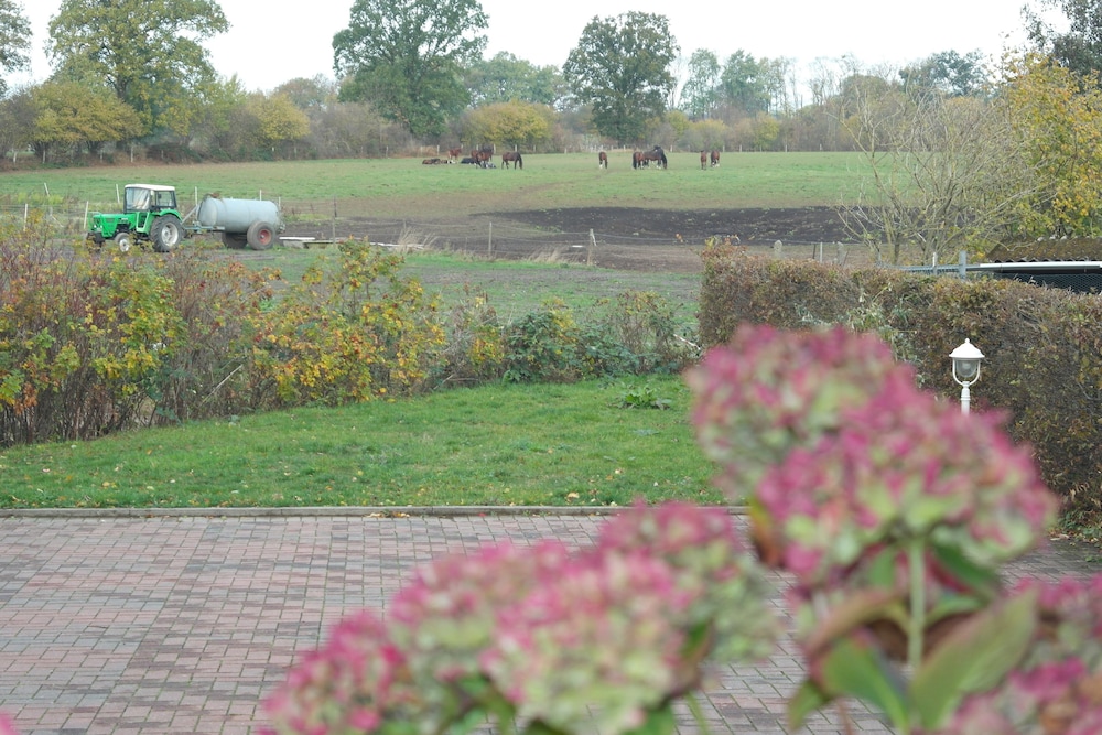 Landhaus Hammoor - Guest House 46/50