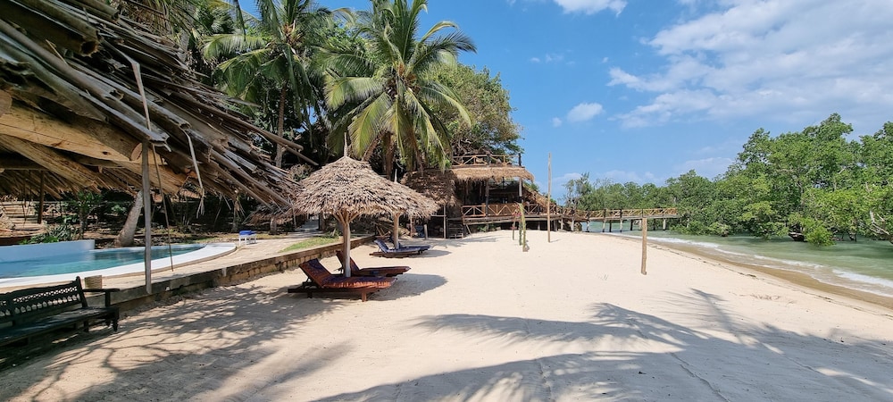 Jungle Paradise Beach Resort & Spa Mbweni Ruins 41/50